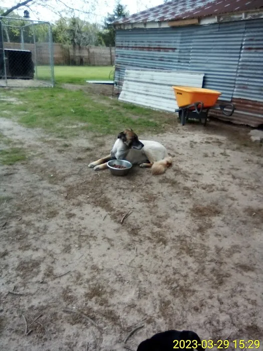 Diamond L Veterinary Services Picture 7