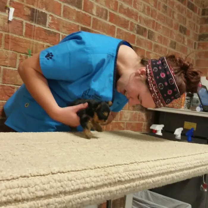 Diamond L Veterinary Services Picture 10