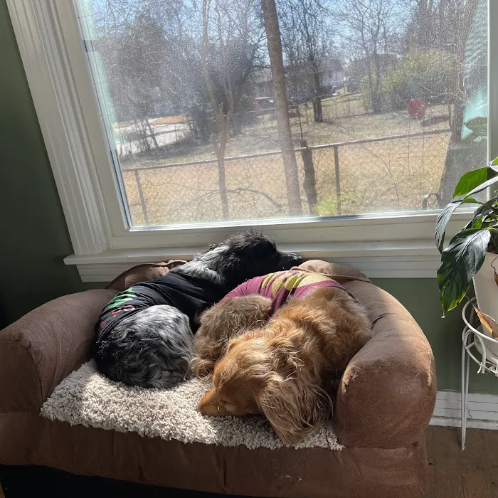 Turtle Creek Veterinary Medical Center, Dr. Jonathan Rocky & Dr. Kaitlyn Boerner Picture 2