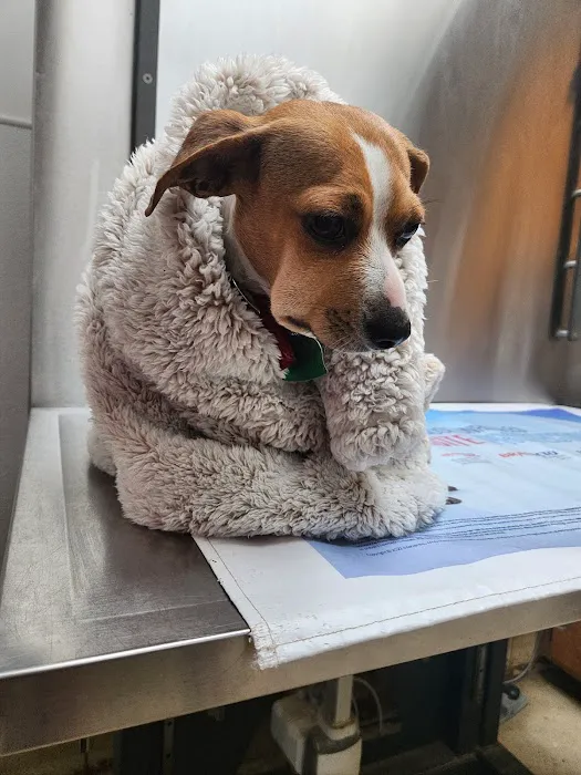 Wills Point Veterinary Clinic Picture 1