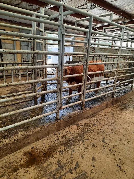 Wills Point Veterinary Clinic Picture 5