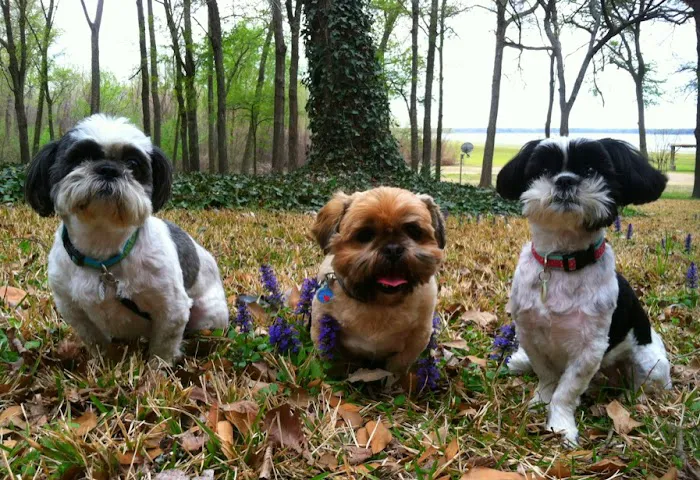Wills Point Veterinary Clinic Picture 9