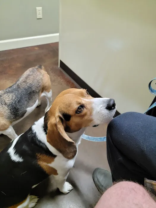 Animal Medical Center Picture 1