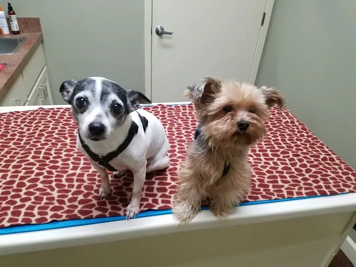 Animal Medical Center Picture 10