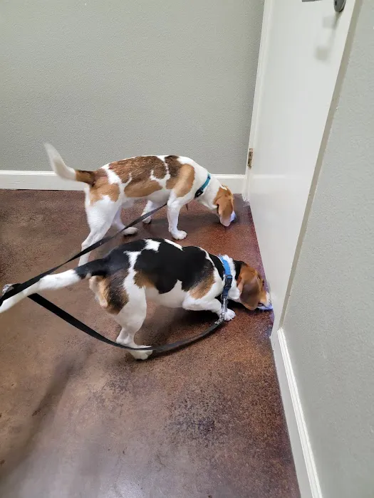 Animal Medical Center Picture 9