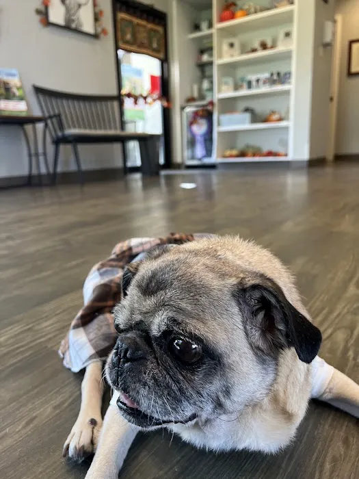 Greenville Animal Hospital Picture 1