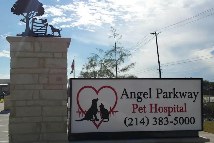 Angel Parkway Pet Hospital Picture 3
