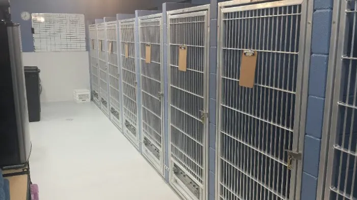 Angel Parkway Pet Hospital Picture 6