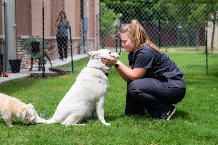 Bethany Pet Hospital Picture 5