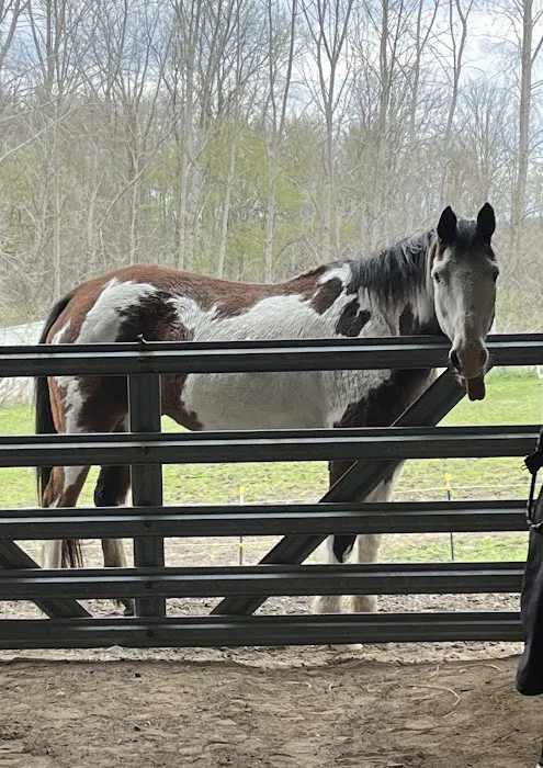 Metamora Complete Equine Vet Picture 1