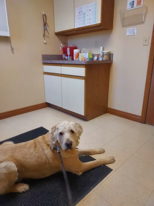 Animal Medical Center of Lapeer Picture 7