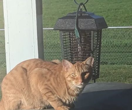 Daley Road Animal Care