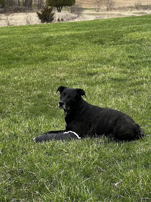 Daley Road Animal Care Picture 7