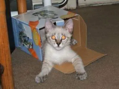 Arborview Veterinary Clinic Picture 7