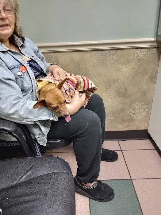 Arborview Veterinary Clinic Picture 10