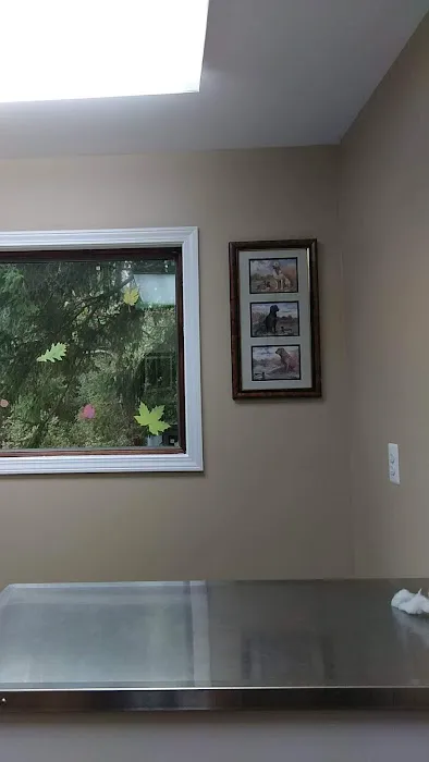 Bell Veterinary Clinic Picture 3