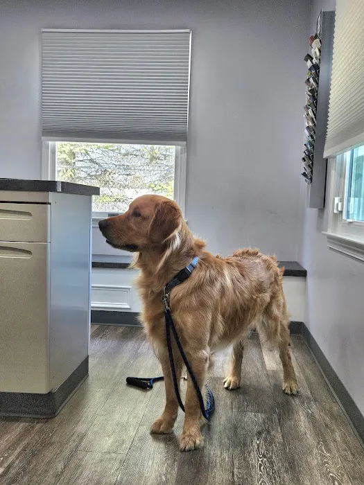 Thorpe Animal Hospital Picture 1