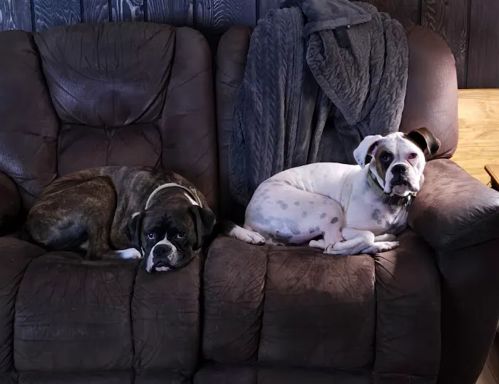 Thorpe Animal Hospital Picture 5