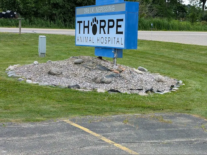 Thorpe Animal Hospital Picture 8