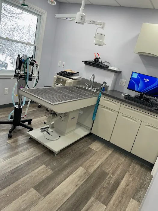 Thorpe Animal Hospital Picture 6