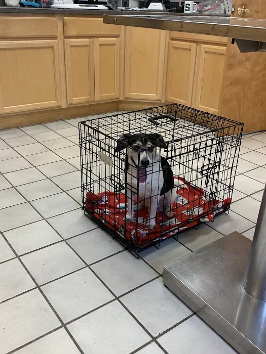 Animal Health Care of North Branch Picture 4