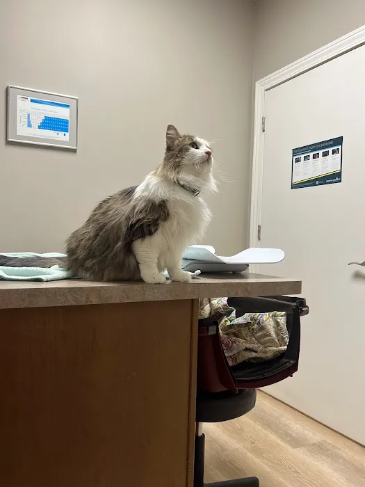 Uptown Veterinary Clinic Picture 2