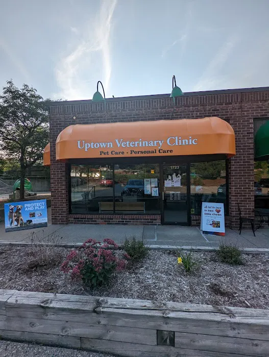 Uptown Veterinary Clinic Picture 8