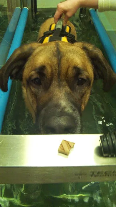 Animal Rehabilitation Facility Picture 2
