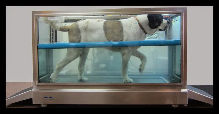 Animal Rehabilitation Facility Picture 1