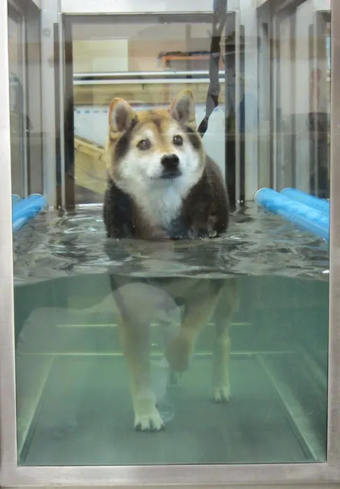 Animal Rehabilitation Facility Picture 7