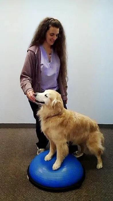 Animal Rehabilitation Facility Picture 9