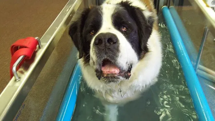 Animal Rehabilitation Facility Picture 10