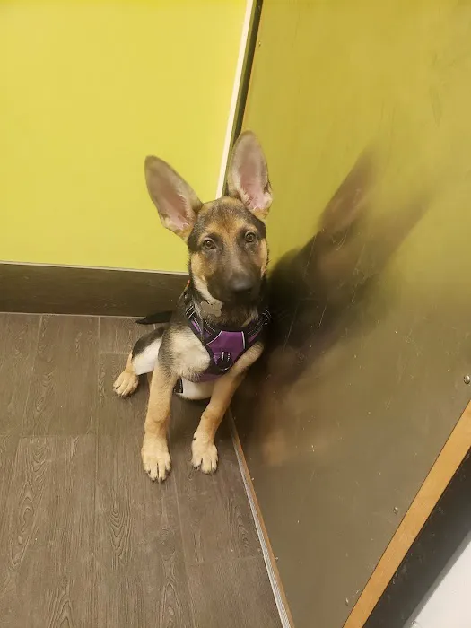 Banfield Pet Hospital Picture 7