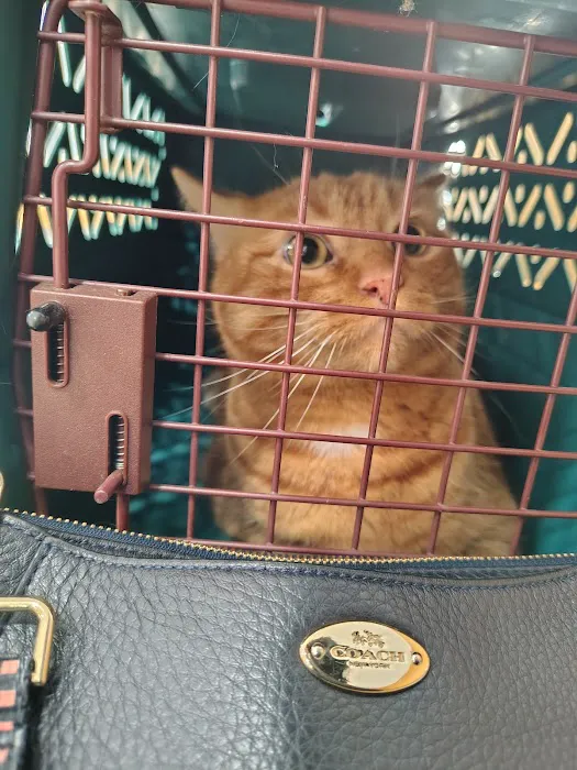 Woodland Animal Hospital Picture 9