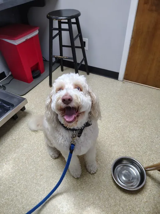 Woodland Animal Hospital Picture 8
