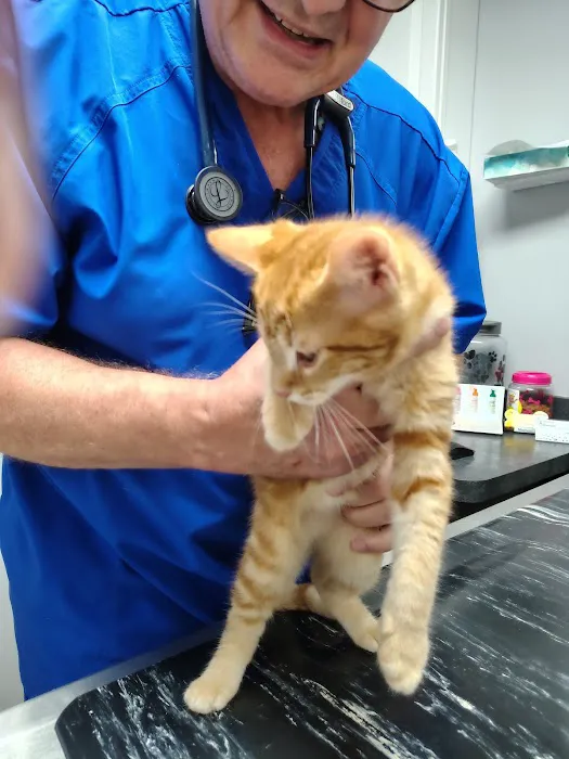 Woodland Animal Hospital Picture 7