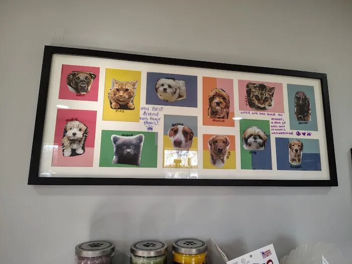 Woodland Animal Hospital Picture 10