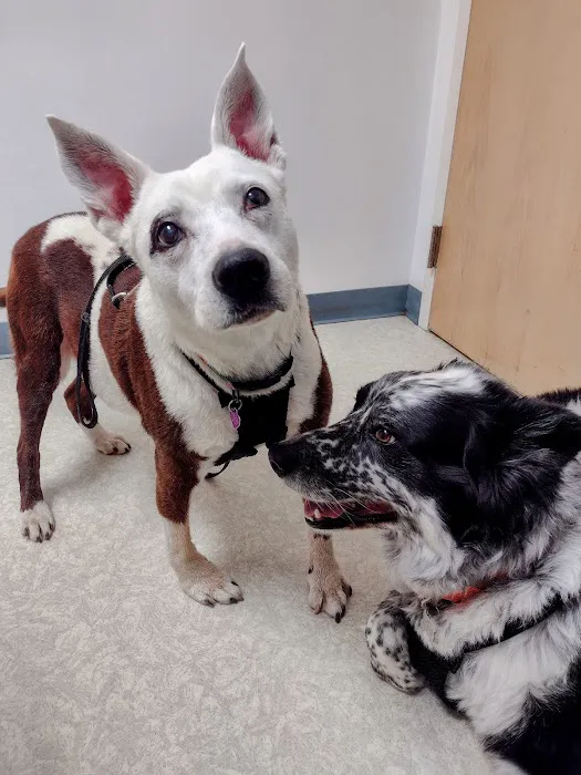 Mill Pond Animal Hospital Picture 3