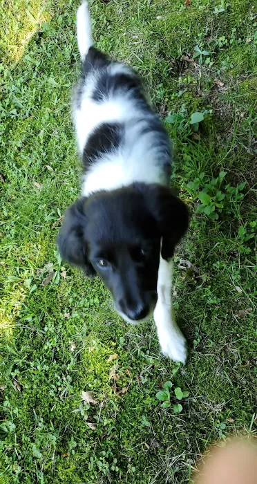 Mill Pond Animal Hospital Picture 1