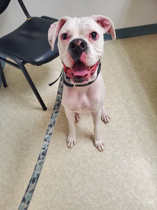 Mill Pond Animal Hospital Picture 2