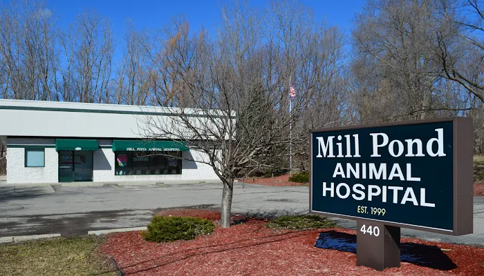 Mill Pond Animal Hospital Picture 6