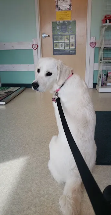 Mill Pond Animal Hospital Picture 8