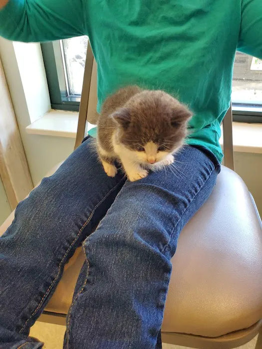 Mill Pond Animal Hospital Picture 7