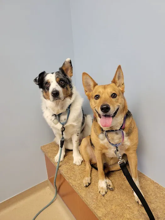 Lake Huron Veterinary Clinic Picture 4