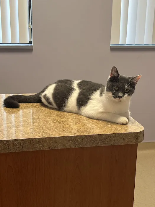 Lake Huron Veterinary Clinic Picture 5