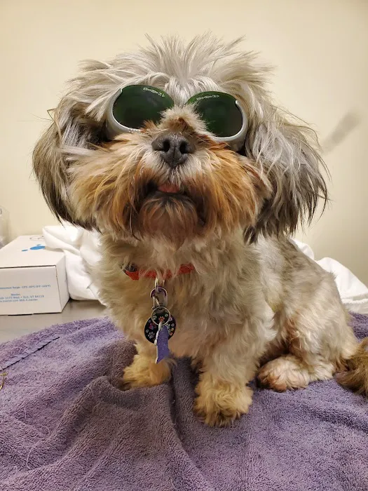 Lake Huron Veterinary Clinic Picture 9