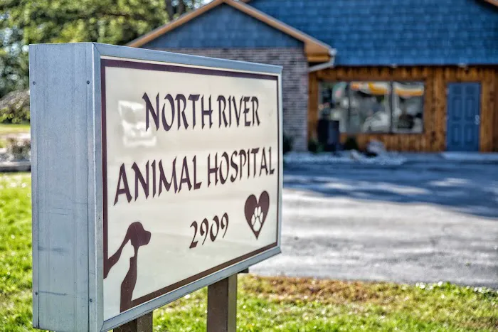 North River Animal Hospital Picture 1