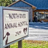 North River Animal Hospital ico