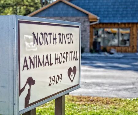 North River Animal Hospital