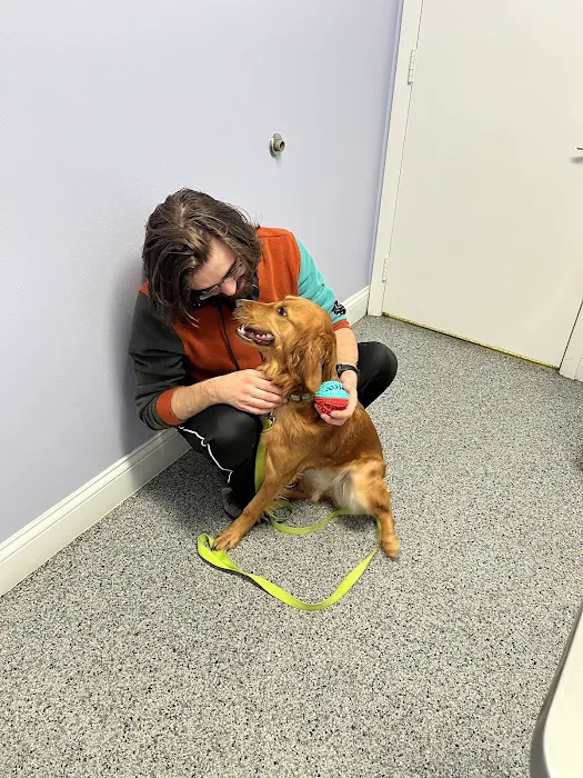 North River Animal Hospital Picture 4